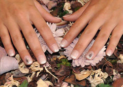 13934657_1133728493333203_7838621751814651279_n