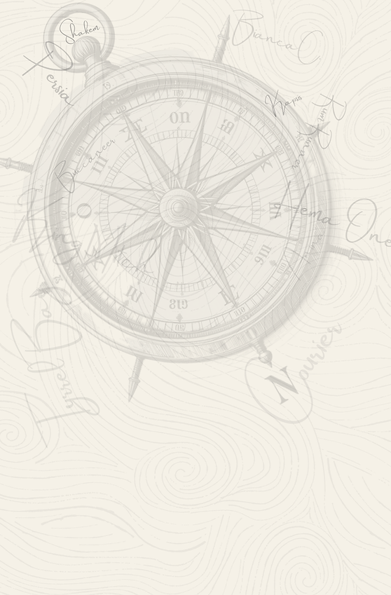 The Sunken Trail PRINT FILE (5.75 x 8.75 in).png