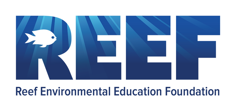 REEF Logo_Full Color_LettersTagBottom_RGB.png