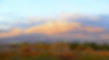 mountain.png