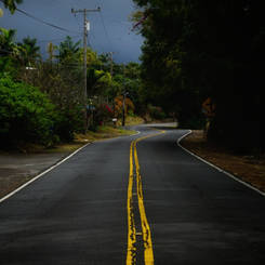 DSC03535-01.jpeg