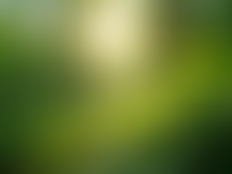 The Importance of Sustainable Living in Today's World