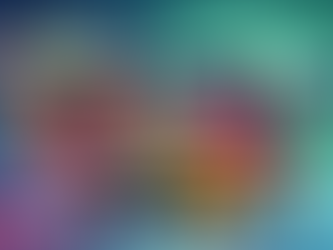 Use WhatsApp Blast to Grow Your Ecommerce Business