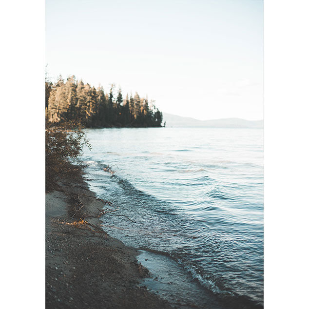 Thumbnail: Bear Country I