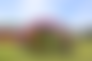 Gazette - Autumn 2024