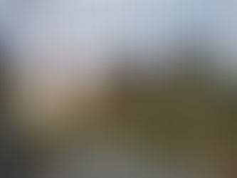 Pushing for a “Meanwhile Uses” planning policy