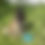 Miniature : VIDE POCHE
