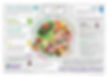 Health balanced plate of food