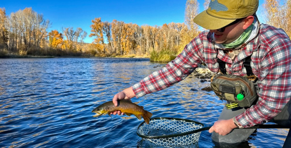 Holding a brown trout.