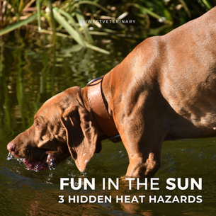 3 Hidden Heat Hazards