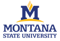 Montana State University Logo