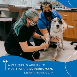 Vet Tech Week at Intracoastal West Vet Hospital