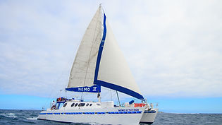 NEMO II (1).jpg
