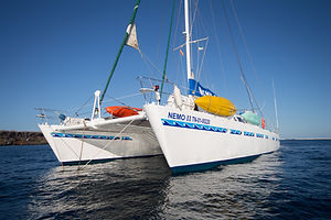 NEMO 2 4.jpg