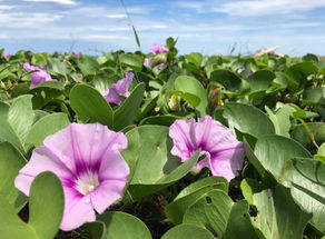 How to Thrive (and Help Others Thrive) in 2021-2022