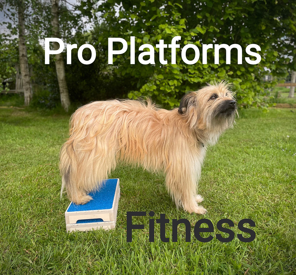 Thumbnail: Pro Platforms