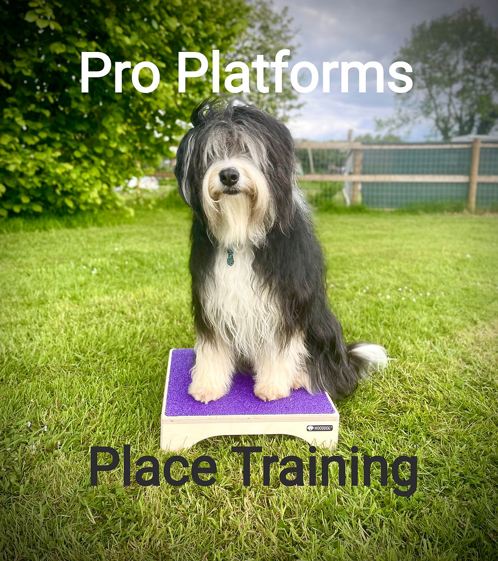 Thumbnail: Pro Platforms