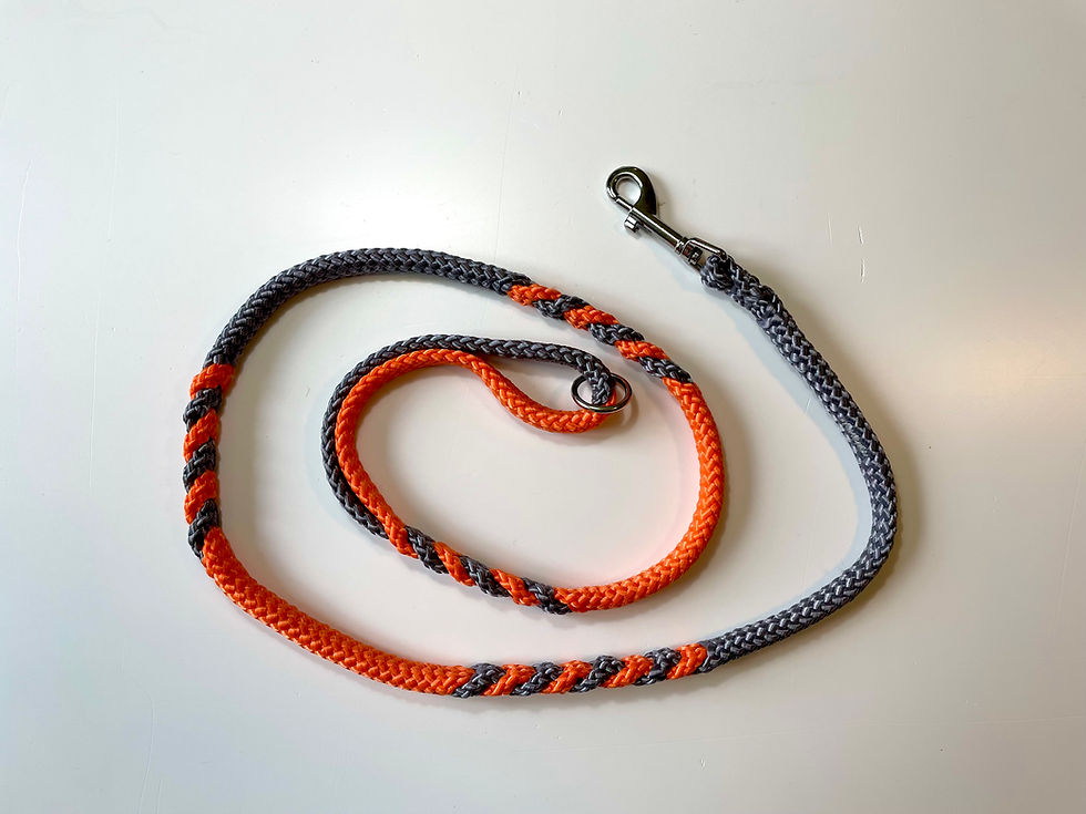 Thumbnail: Two Colour Show Lead