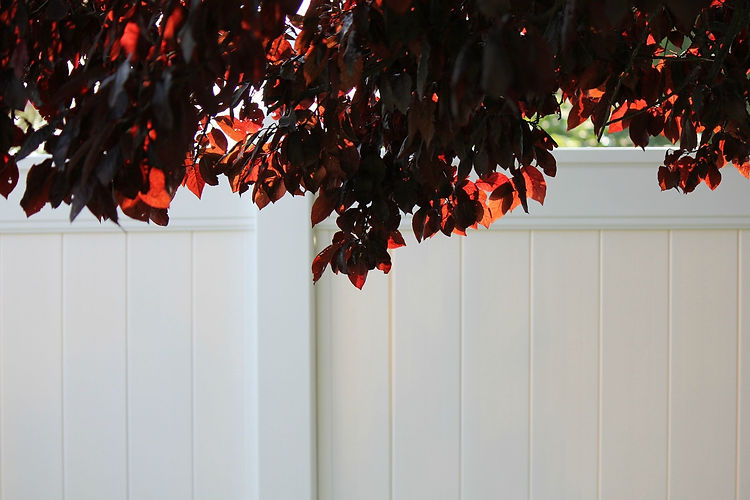 vinylfence.jpg