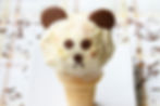 PANDACHOCO