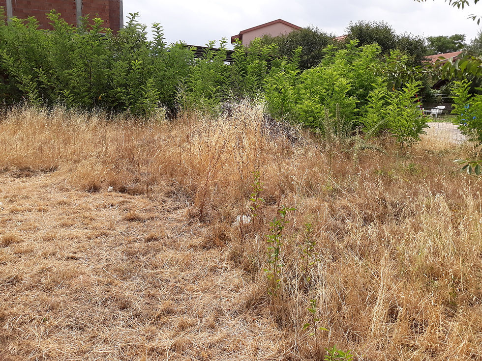 Land for sell in Podgorica _ Montenegro