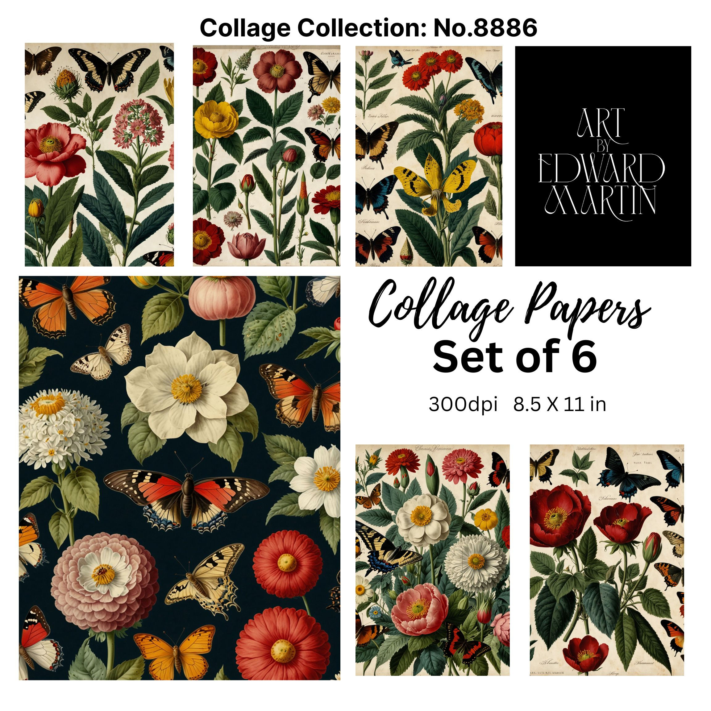 Collage Collection: No.8886