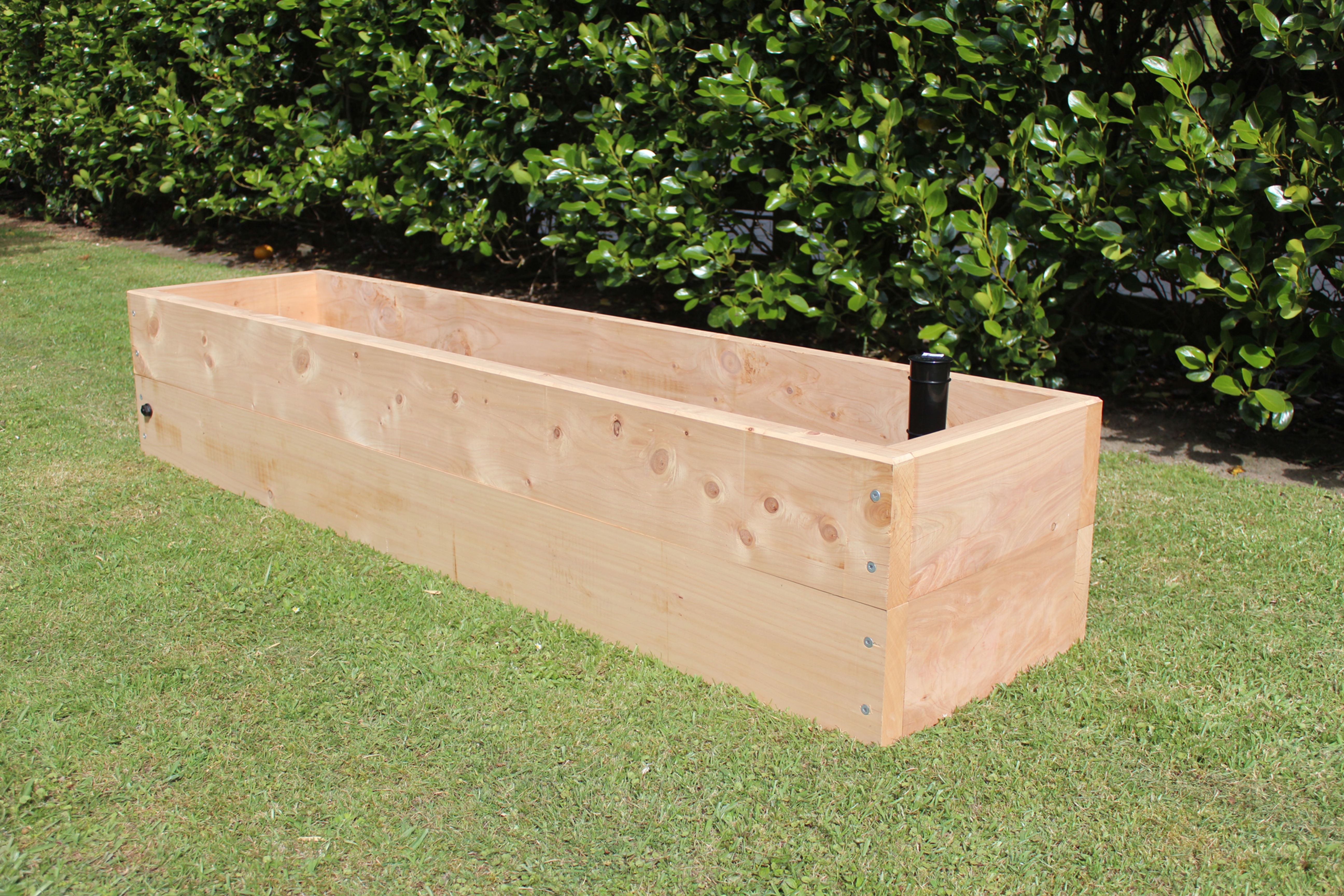 Macrocarpa 2040 Wicking Bed