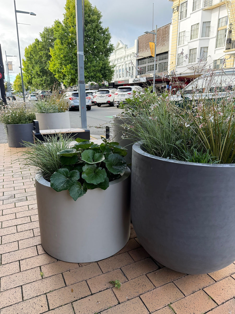 Hamilton City Council - Victoria St 1.jpg