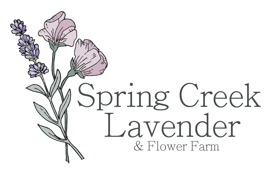Spring-creek-lavender-words-side.gif