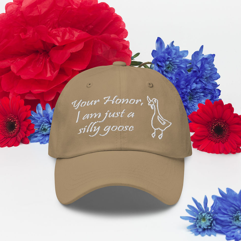 Thumbnail: Your Honor I Am Just a Silly Goose Hat