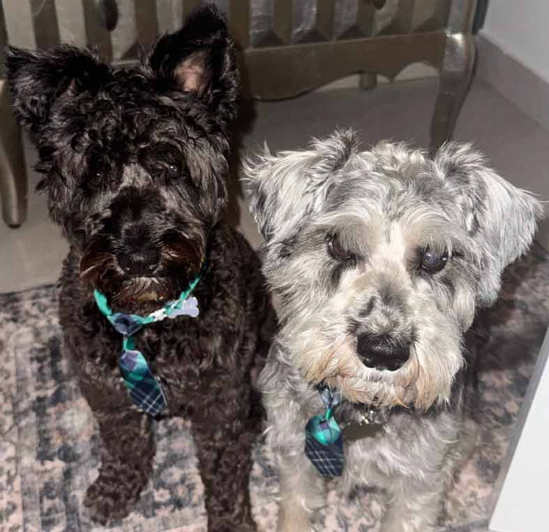 Alfredo and Charles Gonzalo