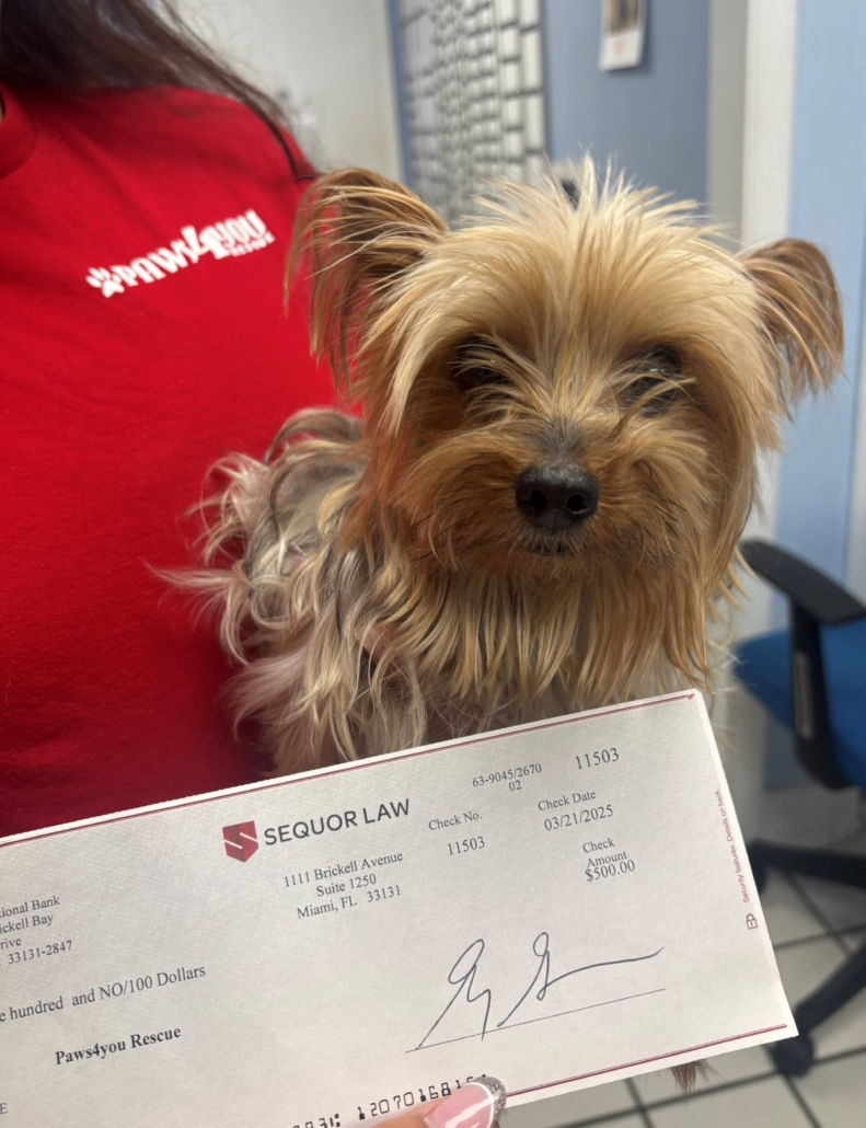 Sequor Law Celebrates National Pet Day with Donation to PAWS4you Rescue