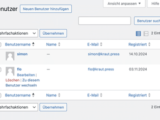 User Switching – See WordPress Through Someone Else’s Eyes
