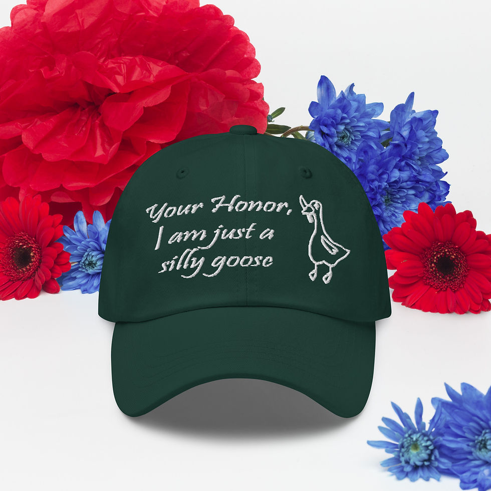 Thumbnail: Your Honor I Am Just a Silly Goose Hat
