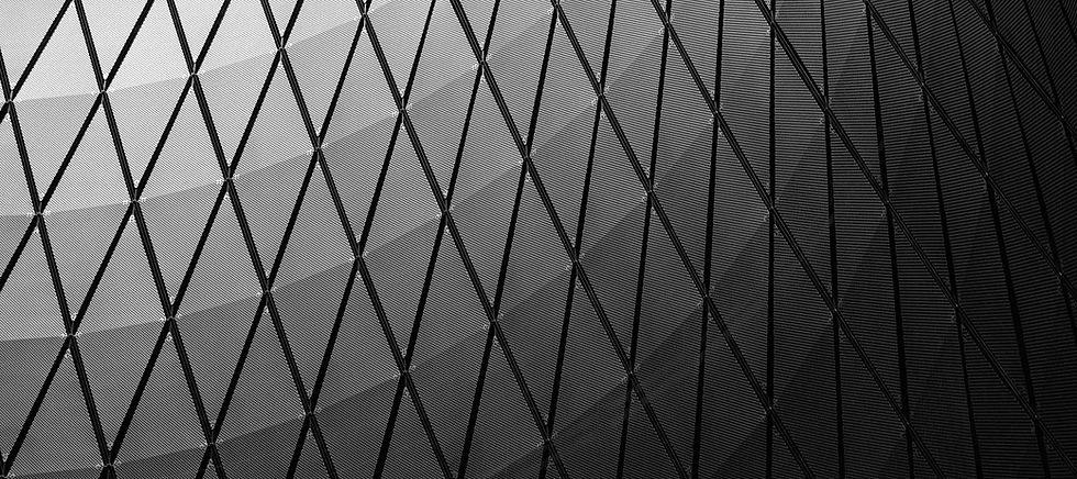 Fraude financiero-Ley de Sequor.jpg