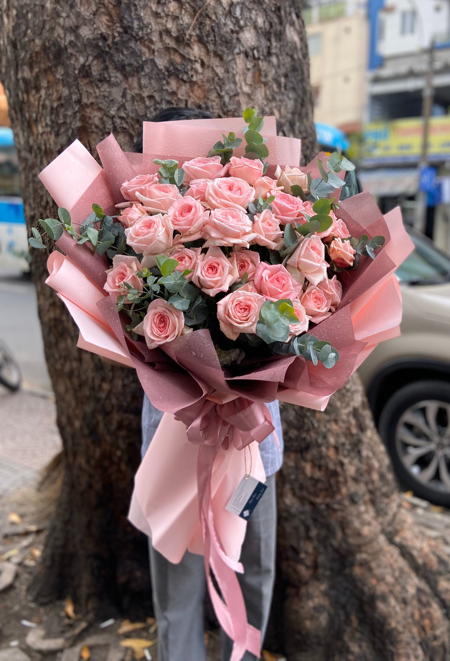 Bó hồng Ohara siêu to