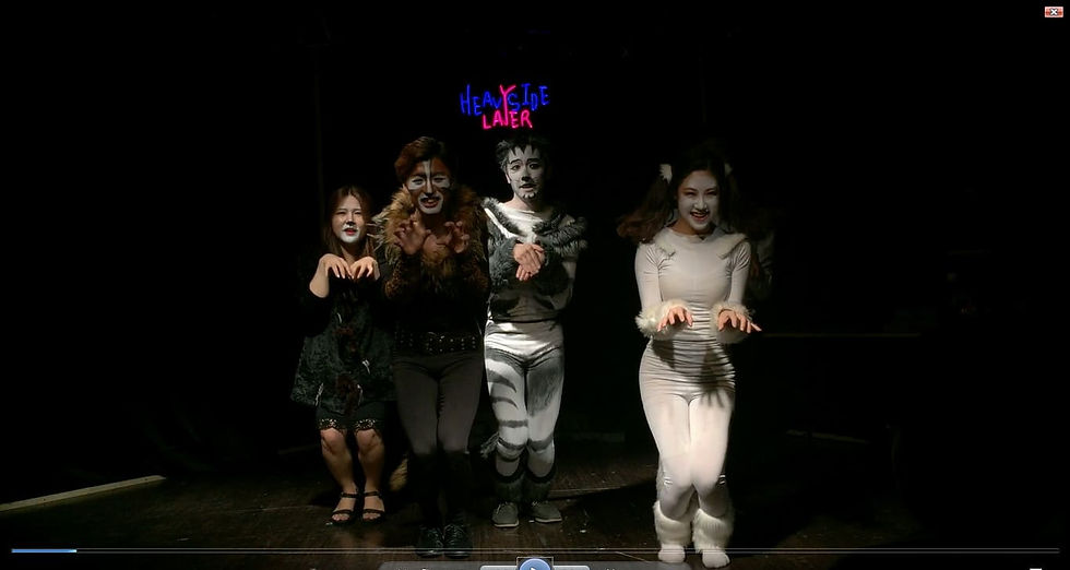 연극 <도시의  고양이들>