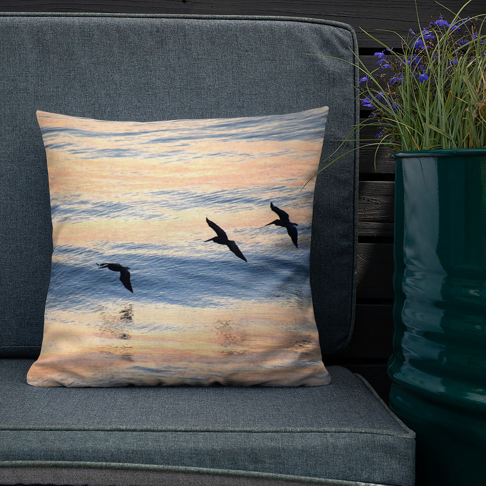 Thumbnail: Pelican Reflection Premium Pillow