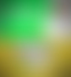 Profissionais da Saúde perdem atrativos para ingressar no Programa Mais Médicos (Noticias )