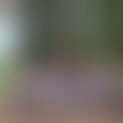 08/15 | 목회자 목장 쉐퍼드