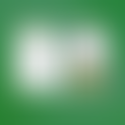 December Skillz&Drillz - The Christmas Challenge