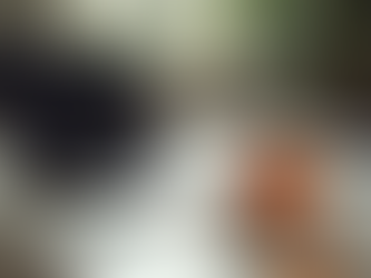 Transform Eating Habits with Online CBT for Eating Improvement