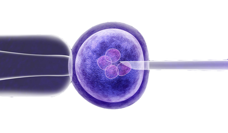 The Purpose of Using Nitrogen During the IVF & Stem Cells Process