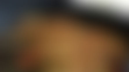 Insekten im Essen? Neue EU-Verordnung sorgt für Aufsehen