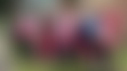 Steirischer Frühjahrsputz: Mittelschule Spielberg packt kräftig mit an