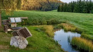 Herbstliche Landschaft am Zeutschacher Ursprung mit dem klaren Quellteich bei Neumarkt in der Steiermark.