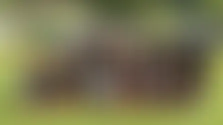 SV Fohnsdorf U13 holt sich verdient den Meistertitel der Saison 2024/25