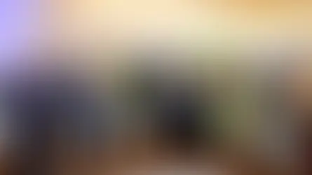 Vertreterinnen und Vertreter der Holzwelt Murau, aus Politik und Projektarbeit bei der Jahreshauptversammlung 2025 auf der Europaburg Neumarkt