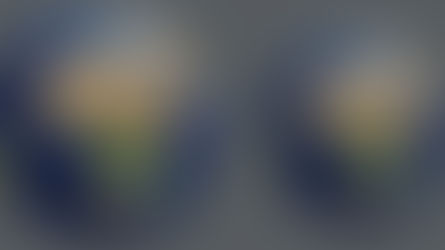 Earth Overshoot Day: Natürliche Ressourcen 2023 ab heute aufgebraucht!