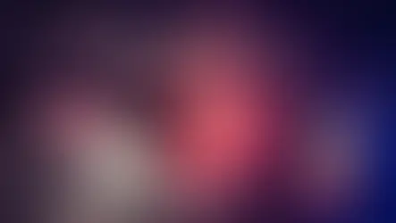 Private Silvesterböllerei im Murtal und Murau mit Feuerwerk, Rauch und Lärm zeigt Umweltbelastung, Tierleid und fehlende Durchsetzung gesetzlicher Regeln.